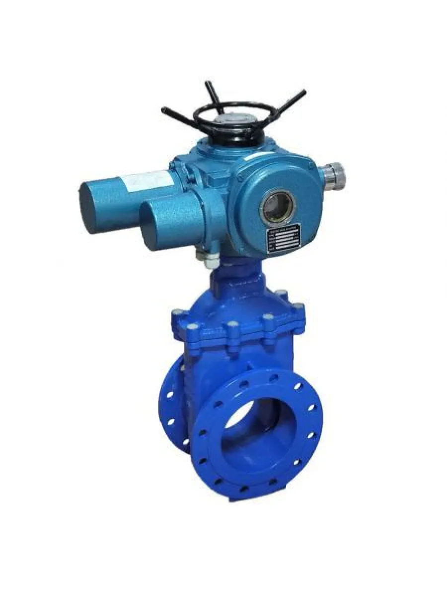 Задвижка 30с941нж Ду250 Ру16 с электроприводом ТИП-НБ